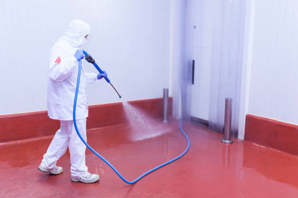 Best Building Exterior Washing  in Knightsen, CA